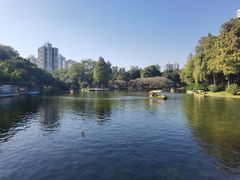 -晓港公园