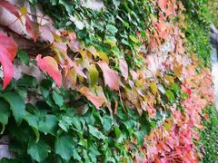 -大连市第二十四中学