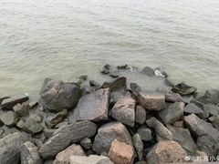 -深圳湾公园(南山区)