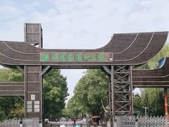 -溱湖国家湿地公园