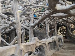 -长鹿旅游休博园