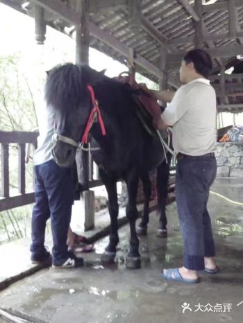 稍微有点失望。但有一个地方的小溪流可谓是清澈见底