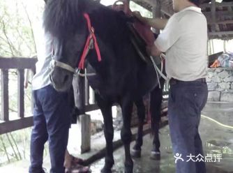 稍微有点失望。但有一个地方的小溪流可谓是清澈见底