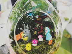 -上海市第一师范学校附属小学