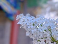-恭王府博物馆