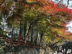 -莫干山风景区