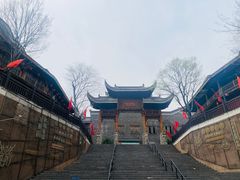 -武汉园博园(武汉自然博物馆)