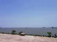 -上海滨江森林公园