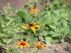 -陶祖圣境风景区