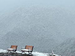 -亚拉雪山风景区