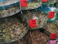 -四海蒸鲜蒸汽海鲜自助(北戴河店)
