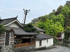 -南山植物园
