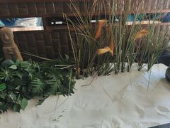 -江小渔鲜鱼火锅(西二道街店)