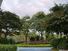 -宝安西湾红树林湿地公园