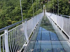 -洛阳白云山景区