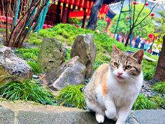 -龙华寺