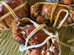 -蟹天蟹地农家菜·阳澄湖大闸蟹(浅水湾店)