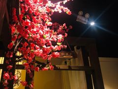 -花千醉拾季(雨花世茂店)
