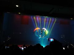 -芜湖新华联大白鲸海洋公园
