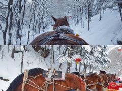 -雪谷