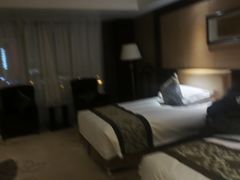 -合肥丰大国际大酒店