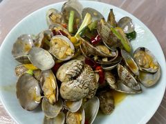 姜葱炒花蛤-阿杰臻选海鲜饭店(普陀山店)