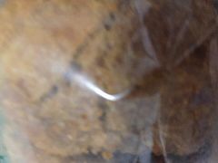 -大顺斋(牛街店)