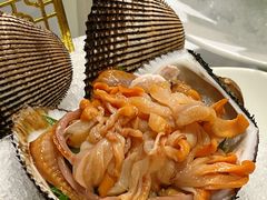 -喜聚薈·花膠雞海鮮火鍋(越秀店)