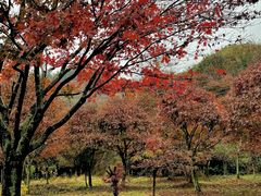 -四明山国家森林公园