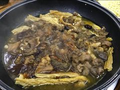 红烧定安带皮小黄牛-采悦轩中餐厅·粤菜·海南菜(神州半岛喜来登度假酒店)