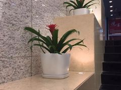 -汤泉良子.足疗按摩.SPA(中关村店)
