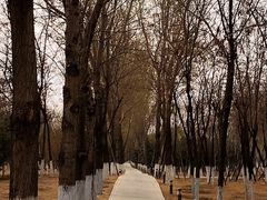 -大兴滨河森林公园