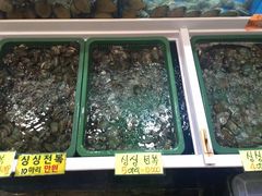 -西归浦每天偶来市场