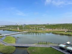 -春花秋色城市公园