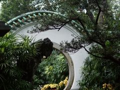 -广州兰圃