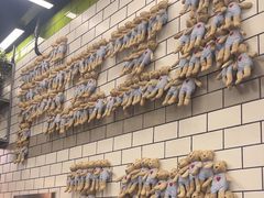 -MT麦如麦立送(五矿live店)