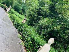 -威海天沐度假区温泉