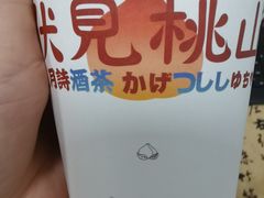 元気特级白桃煎奶-伏小桃(雁塔MOMOPARK店)