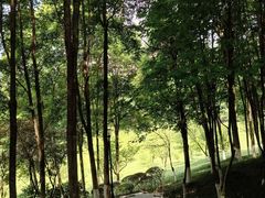 -龙头寺公园