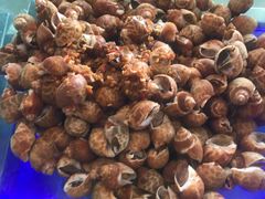 -荣誉国际酒店-云顶旋转餐厅