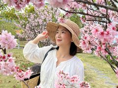 -田野绿世界