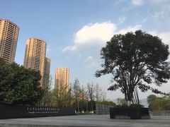 -重庆市江北嘴中央商务区中央公园