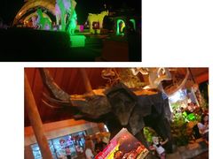 -清迈夜间动物园