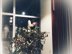 -庄隐阁(悠方广场店)