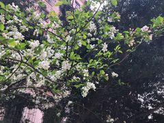 -汤乐汇•足道•SPA生活馆