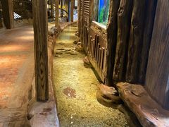 -长鹿旅游休博园