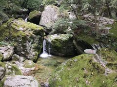 -牛背梁国家森林公园