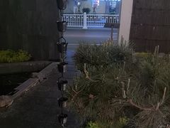 -汤宴·参须肚包鸡(南京路店)