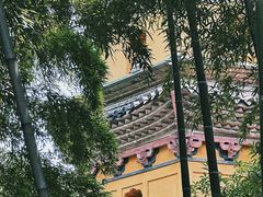 -阿育王寺
