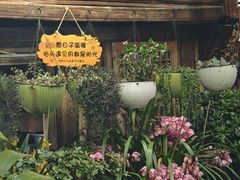 -龙姐私房菜(和顺古镇店)